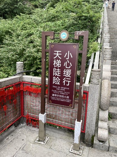 img 6806 (small)